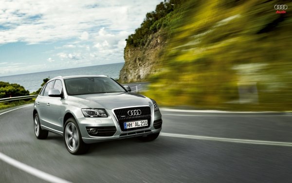 Audi Q5.